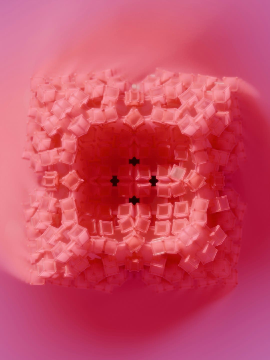 新一期“‘泉’民开讲”反应火热!泉州华裔历史博物馆与丰泽侨联共寻泉籍华裔脚印